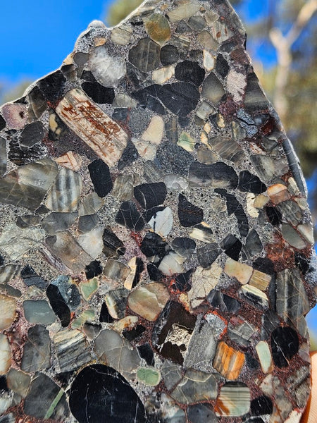 Black Jasper Conglomerate slab B224