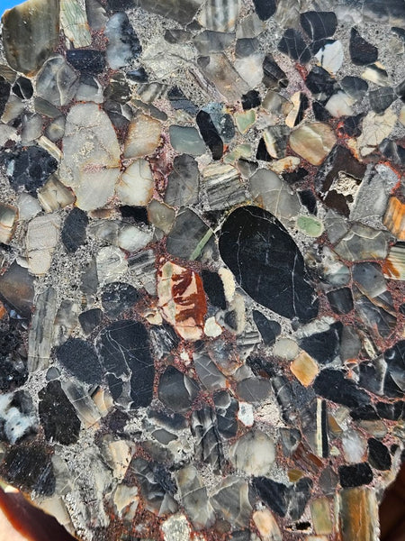 Black Jasper Conglomerate slab B224