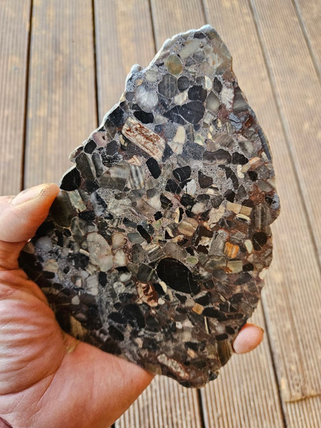 Black Jasper Conglomerate slab B224