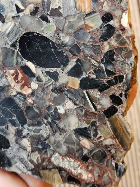 Black Jasper Conglomerate slab B224
