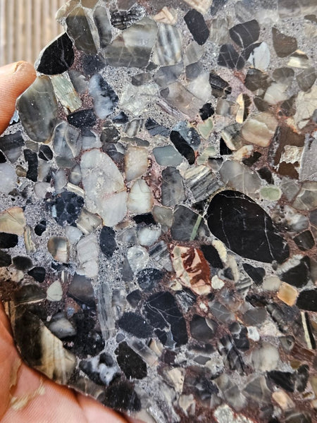 Black Jasper Conglomerate slab B224