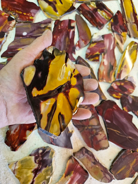 Bulk lot ! Polished Mookaite slabs MK464