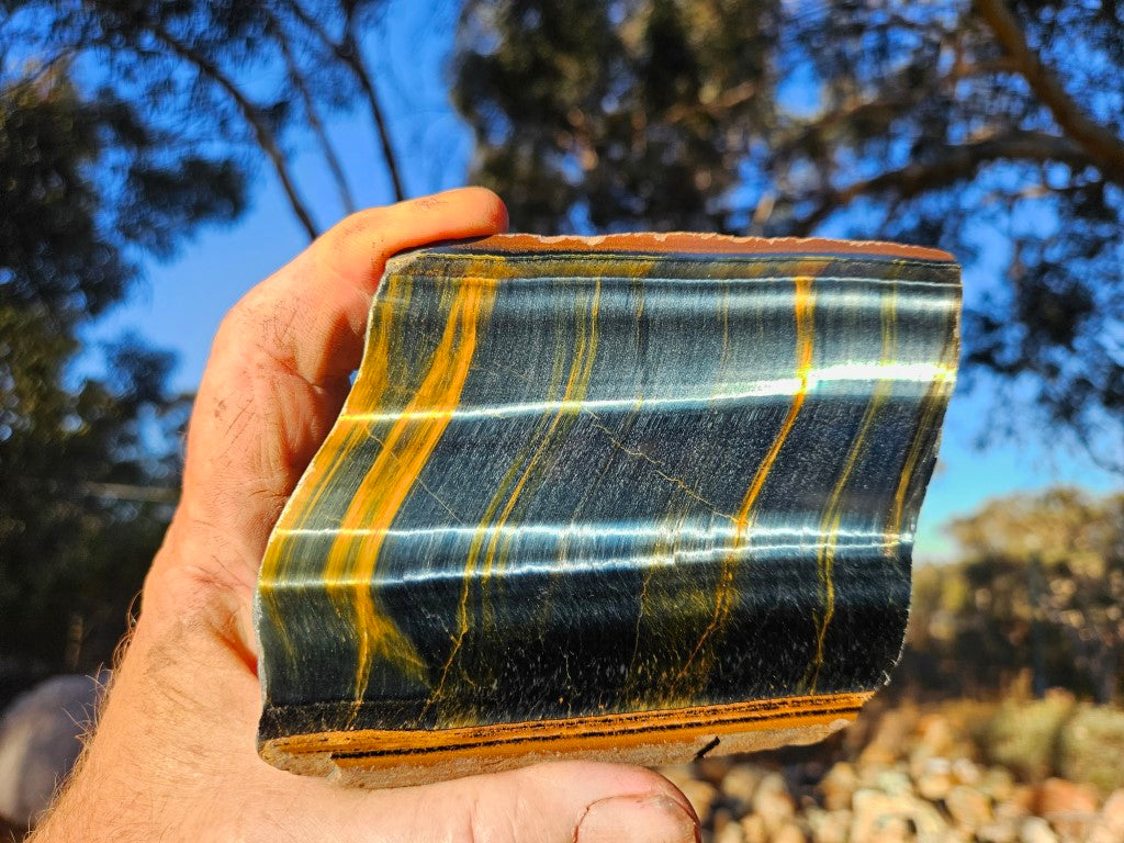 Polished African Tiger Eye slab TEA107