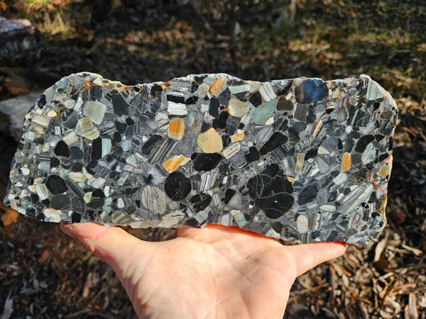 Black Jasper Conglomerate slab B225
