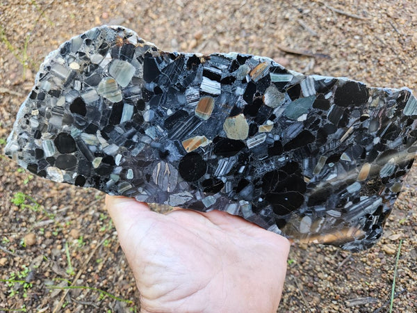 Black Jasper Conglomerate slab B225