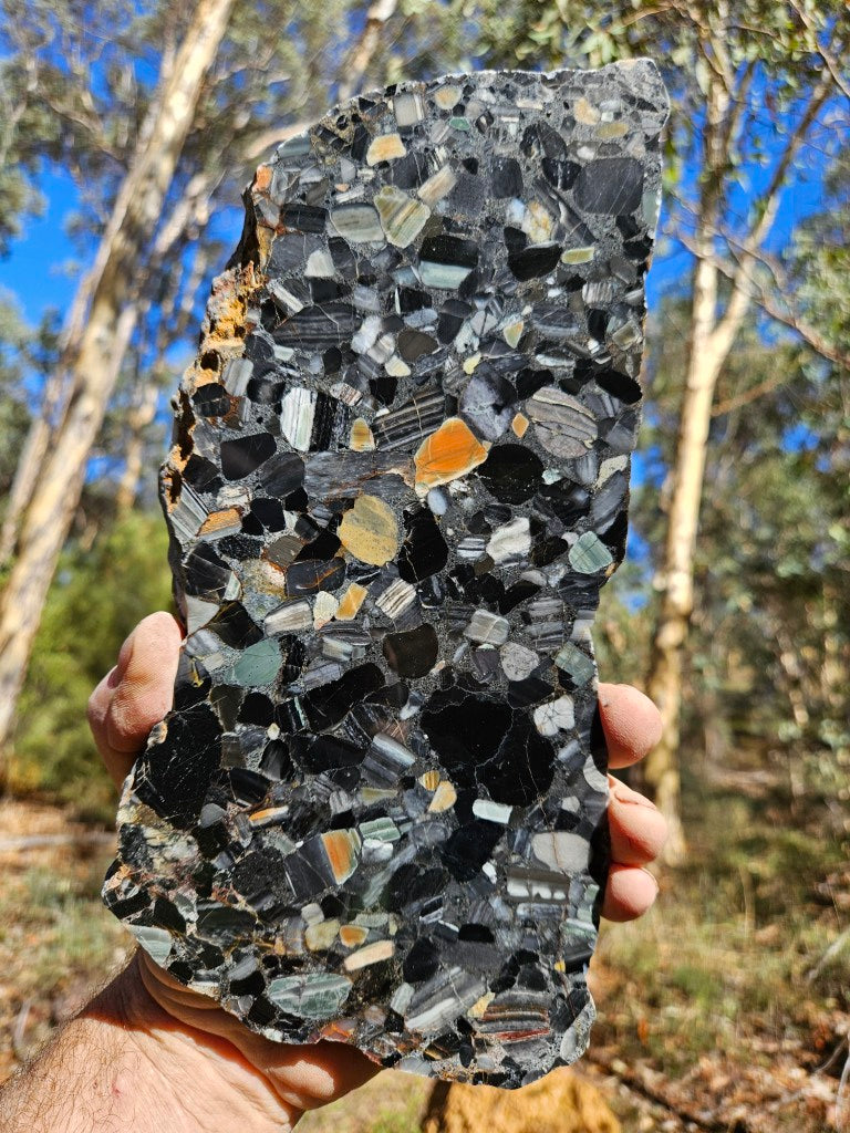 Black Jasper Conglomerate slab B229
