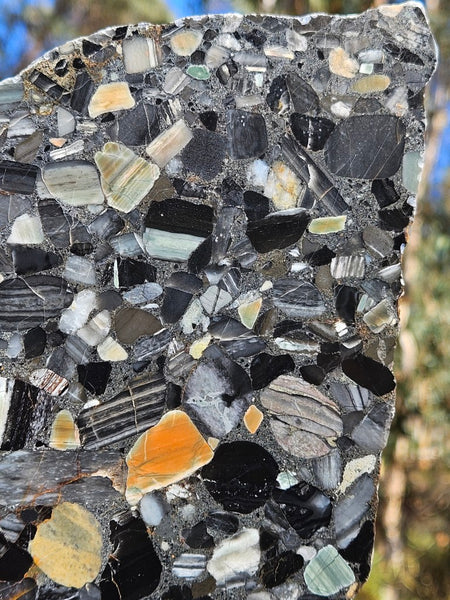 Black Jasper Conglomerate slab B229