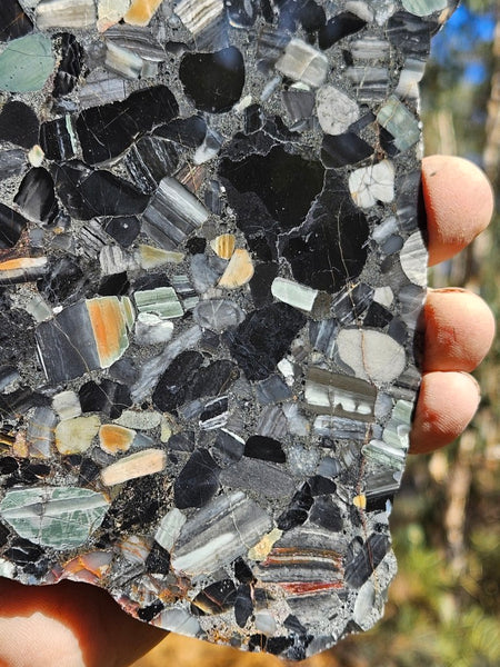 Black Jasper Conglomerate slab B229