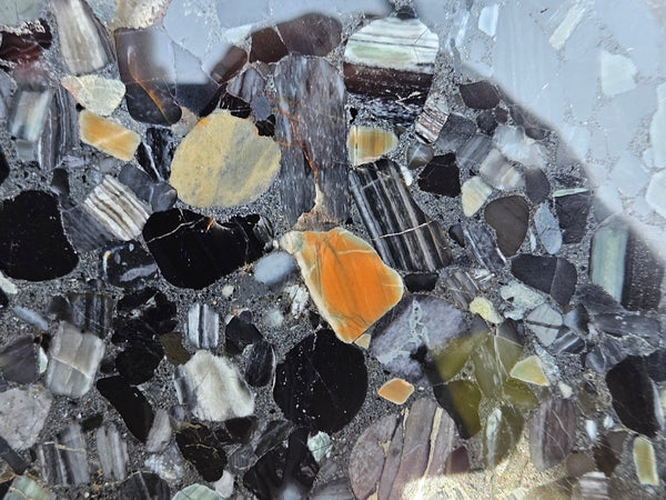 Black Jasper Conglomerate slab B229