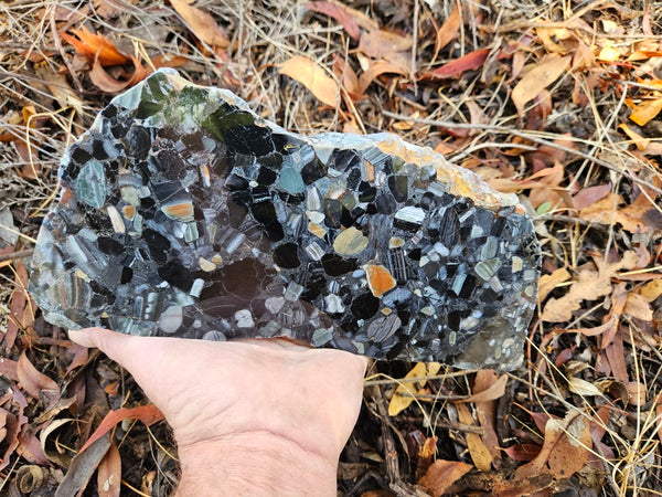 Black Jasper Conglomerate slab B229