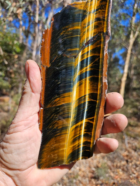 Polished African Tiger Eye slab TEA108