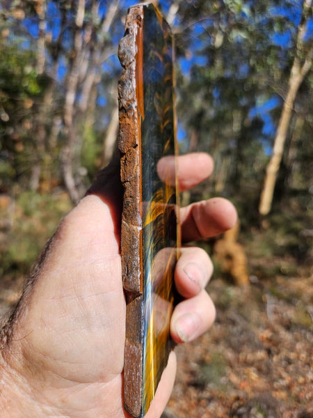 Polished African Tiger Eye slab TEA108