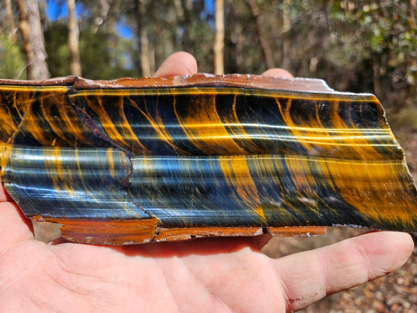 Polished African Tiger Eye slab TEA108