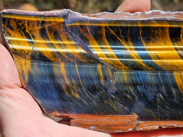 Polished African Tiger Eye slab TEA108