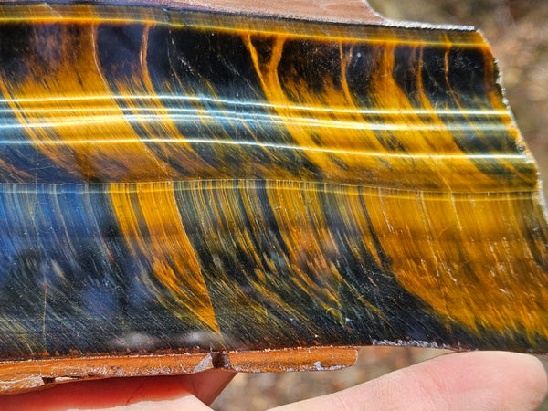 Polished African Tiger Eye slab TEA108