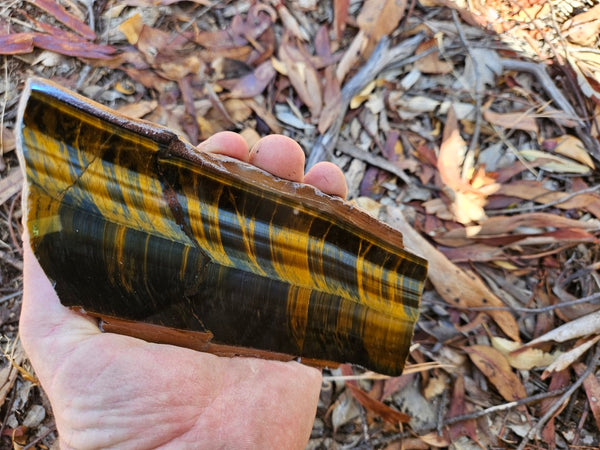 Polished African Tiger Eye slab TEA108