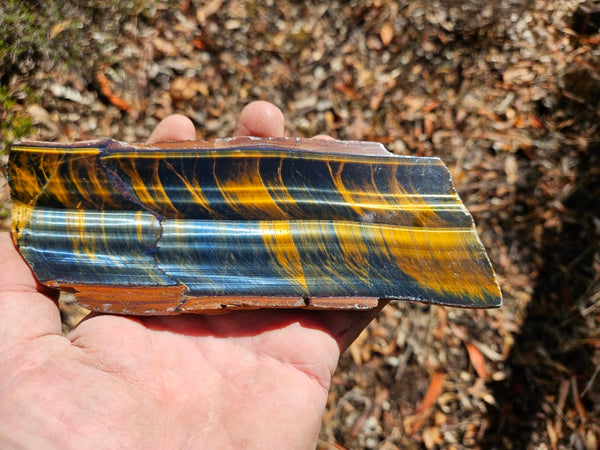 Polished African Tiger Eye slab TEA108