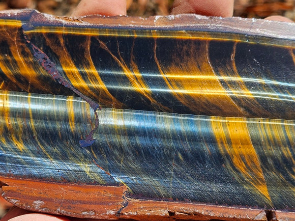 Polished African Tiger Eye slab TEA108