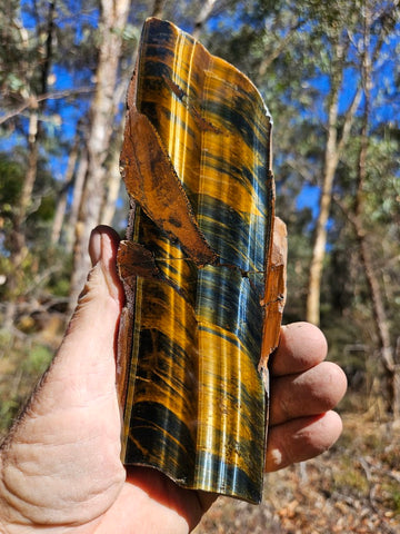 Polished African Tiger Eye slab TEA109