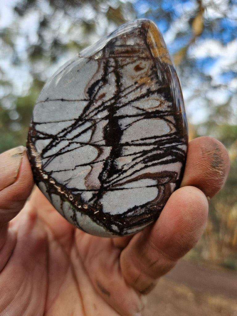 Tumble Polished Outback Jasper OJT105