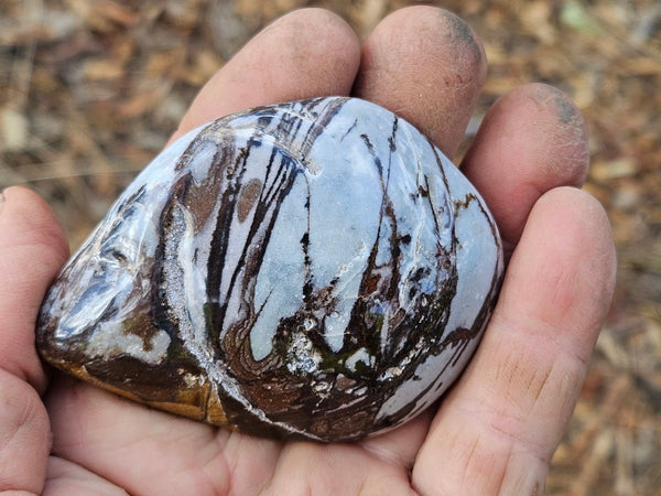 Tumble Polished Outback Jasper OJT105