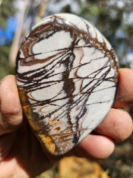 Tumble Polished Outback Jasper OJT105