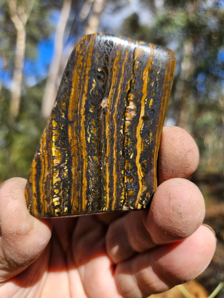 Tumble polished Tiger Iron TIT106