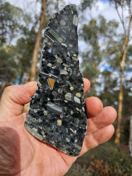 Black Jasper Conglomerate slab B230