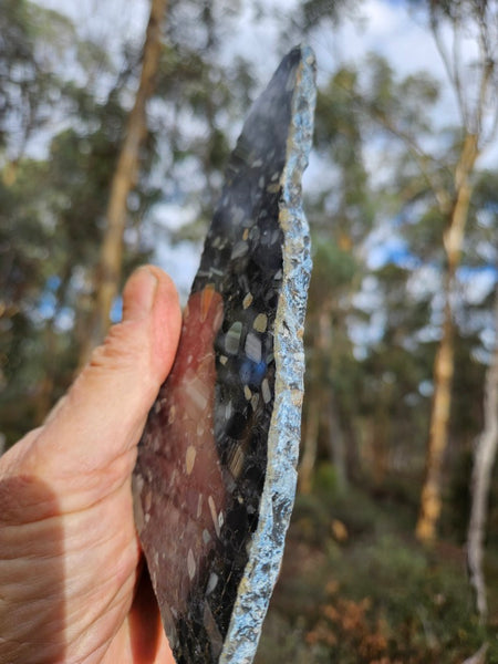Black Jasper Conglomerate slab B230