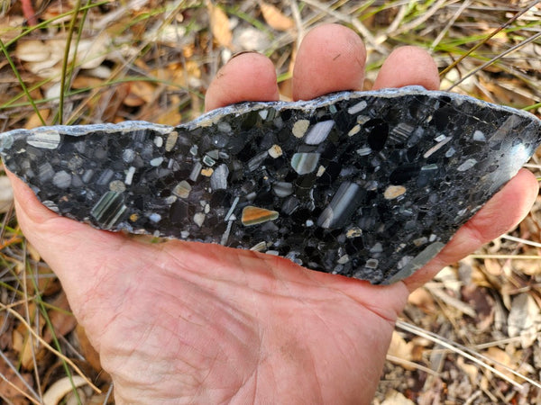 Black Jasper Conglomerate slab B230