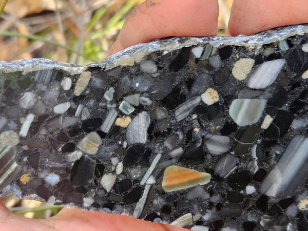 Black Jasper Conglomerate slab B230