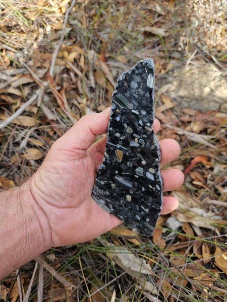 Black Jasper Conglomerate slab B230