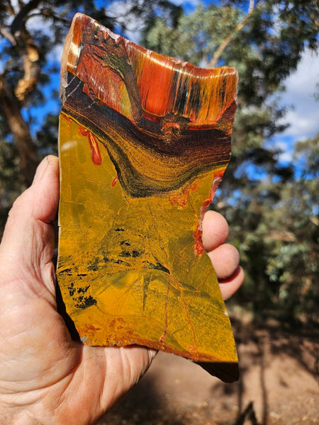 Polished Tiger Eye slab TE453