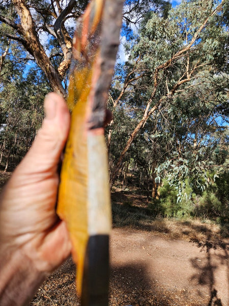Polished Tiger Eye slab TE453