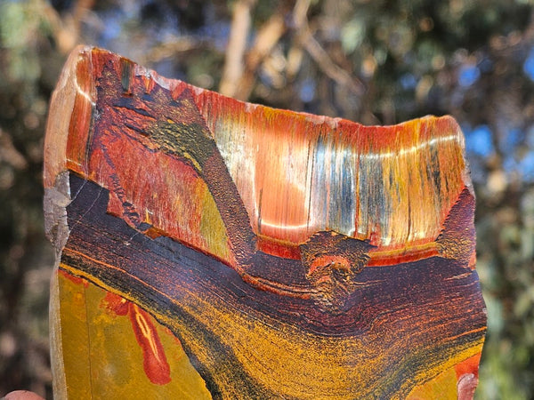 Polished Tiger Eye slab TE453