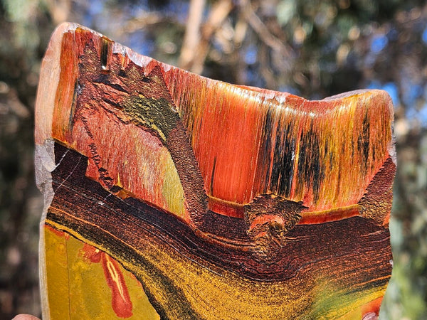Polished Tiger Eye slab TE453