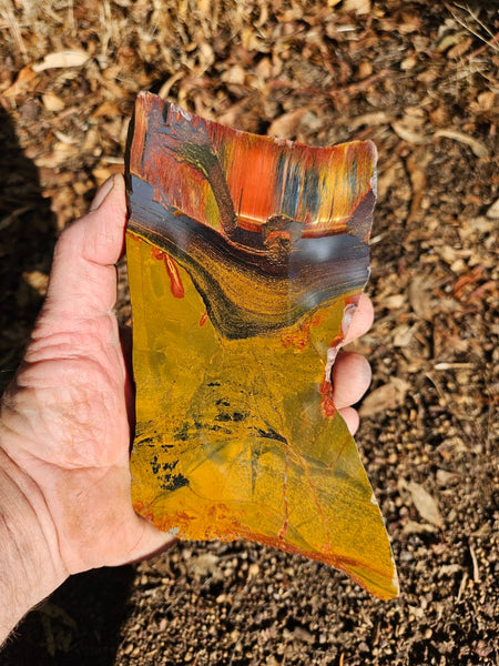 Polished Tiger Eye slab TE453