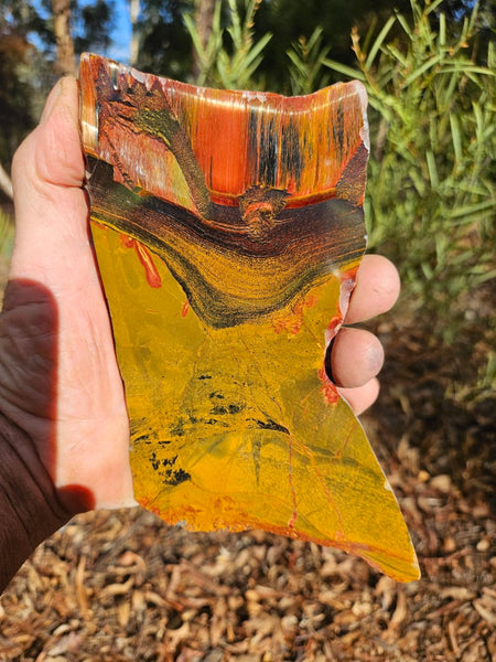 Polished Tiger Eye slab TE453