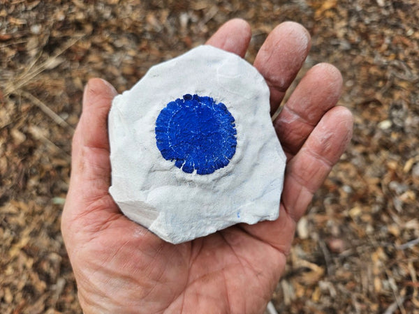 Azurite Sun  AZ153
