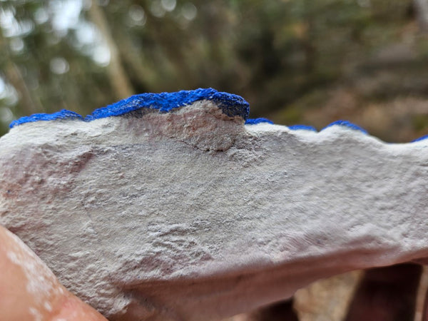 Azurite Sun  AZ156