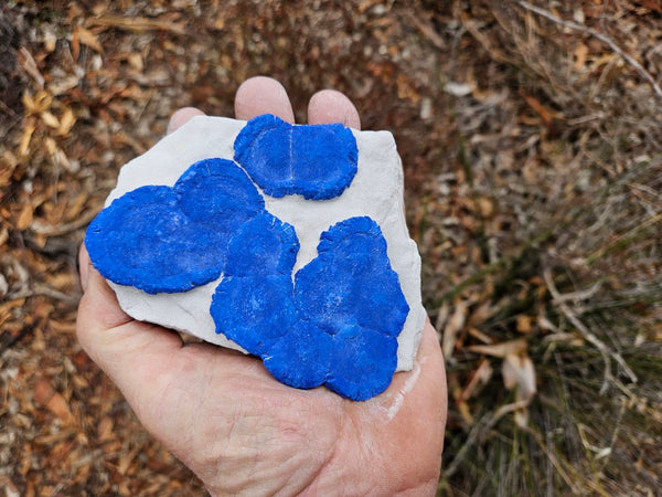 Azurite Sun  AZ158