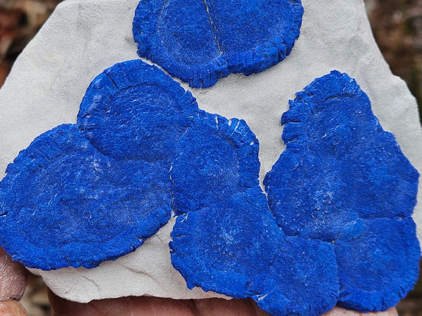 Azurite Sun  AZ158