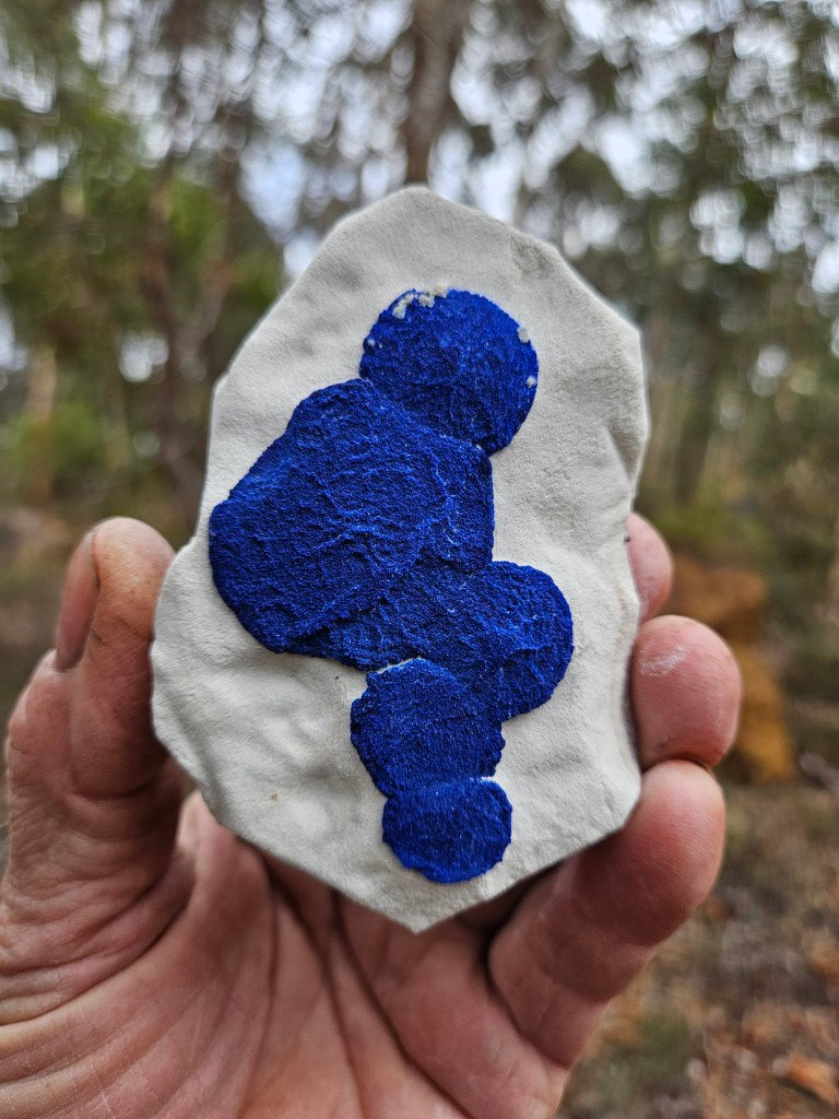 Azurite Sun  AZ159