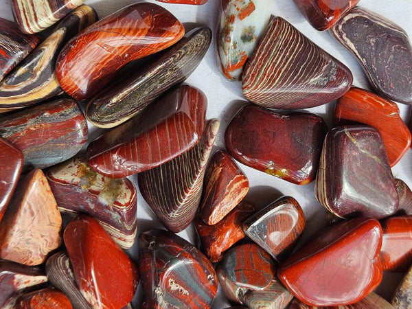 Tumble Polished Snakeskin Jasper SST130