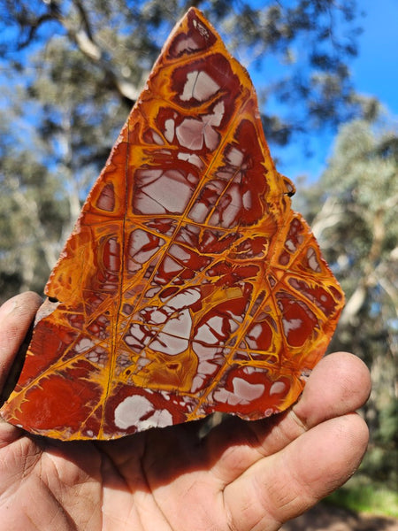 Polished Noreena Jasper slab. NJ490