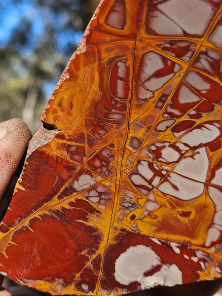 Polished Noreena Jasper slab. NJ490