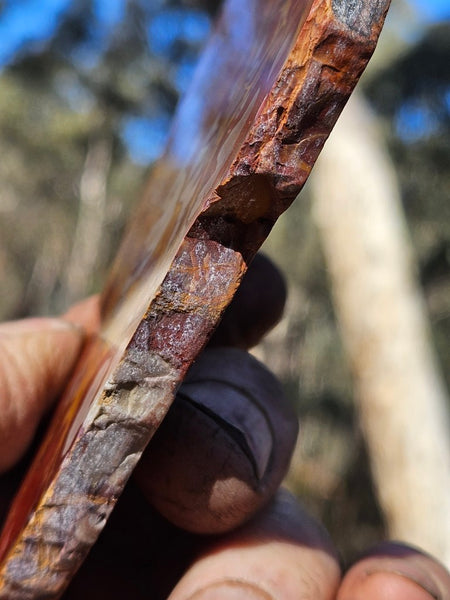 Polished Noreena Jasper slab. NJ490