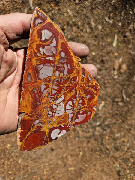 Polished Noreena Jasper slab. NJ490