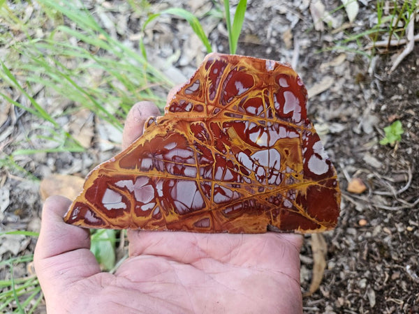 Polished Noreena Jasper slab. NJ490