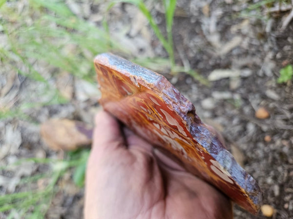 Polished Noreena Jasper slab. NJ490